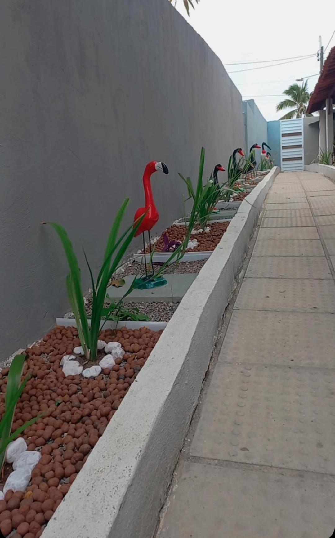 Villa Velha Flats Itamaracá Kültér fotó